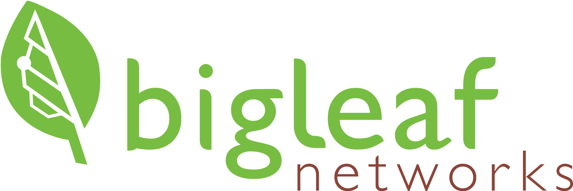Bigleaf Logo - LARGE
