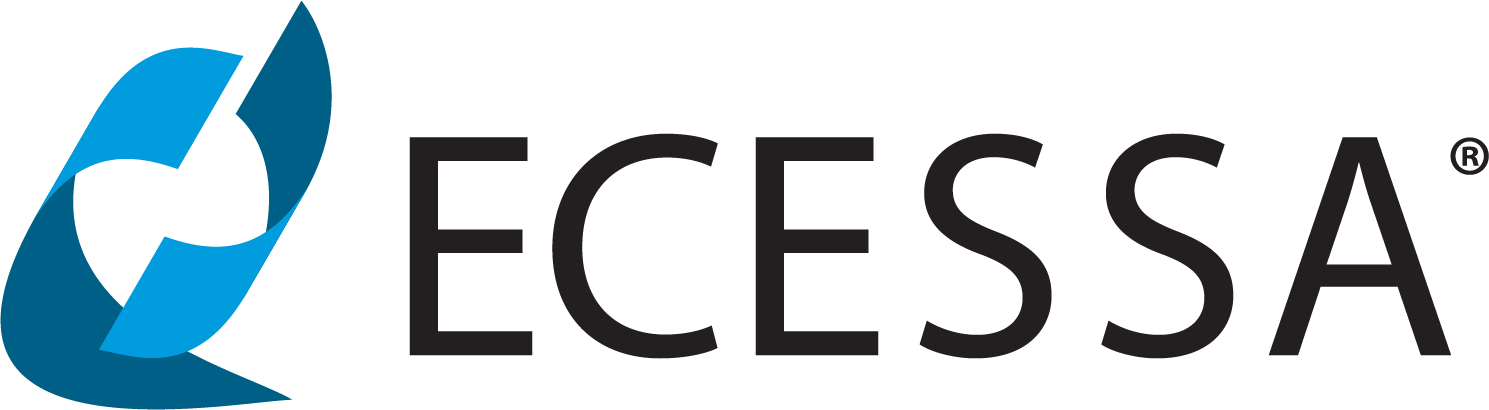 Ecessa_RGB_color